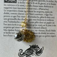 Litha marque